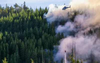 Increased Risk of Wildfire During Drier Seasons, AER Bulletin 2022-15